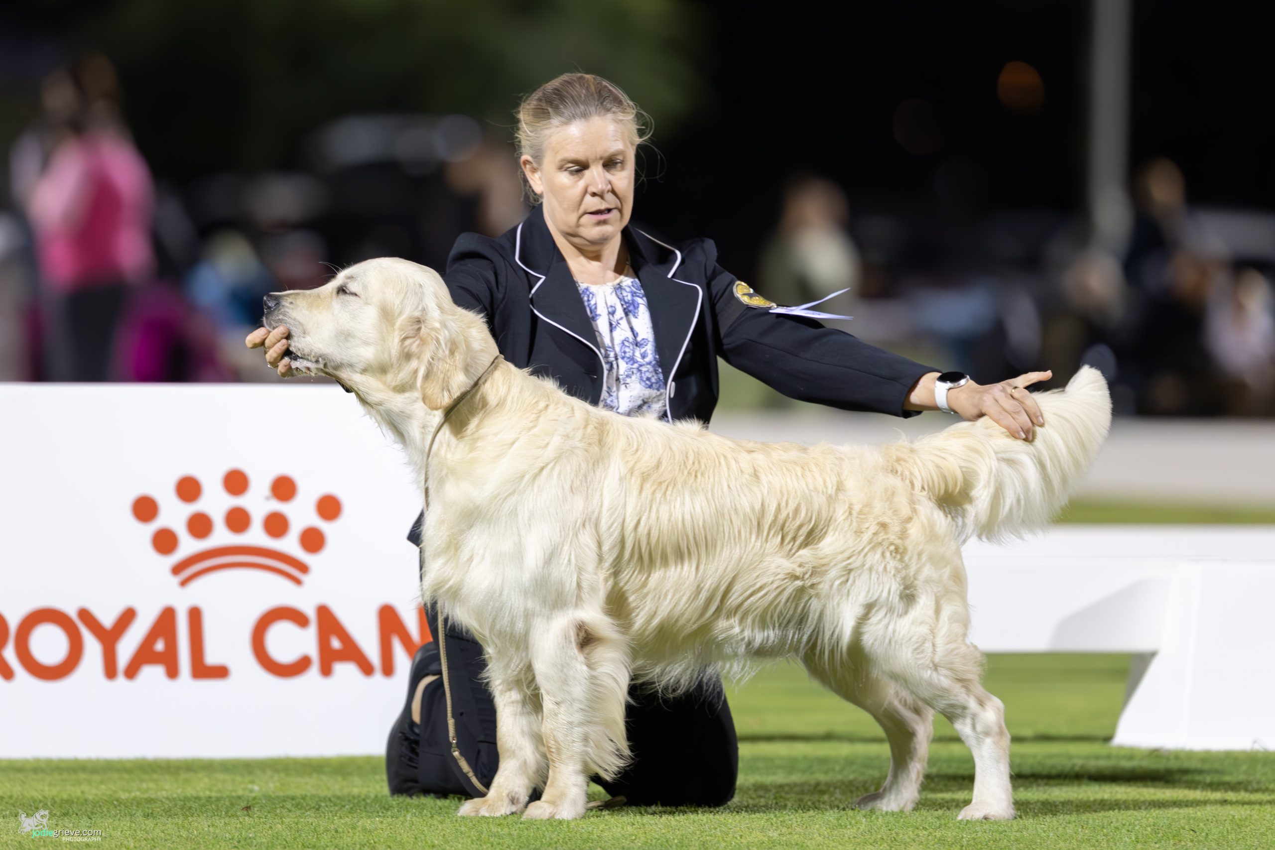 First Shows of 2026: Ribbons and Really Good Dogs